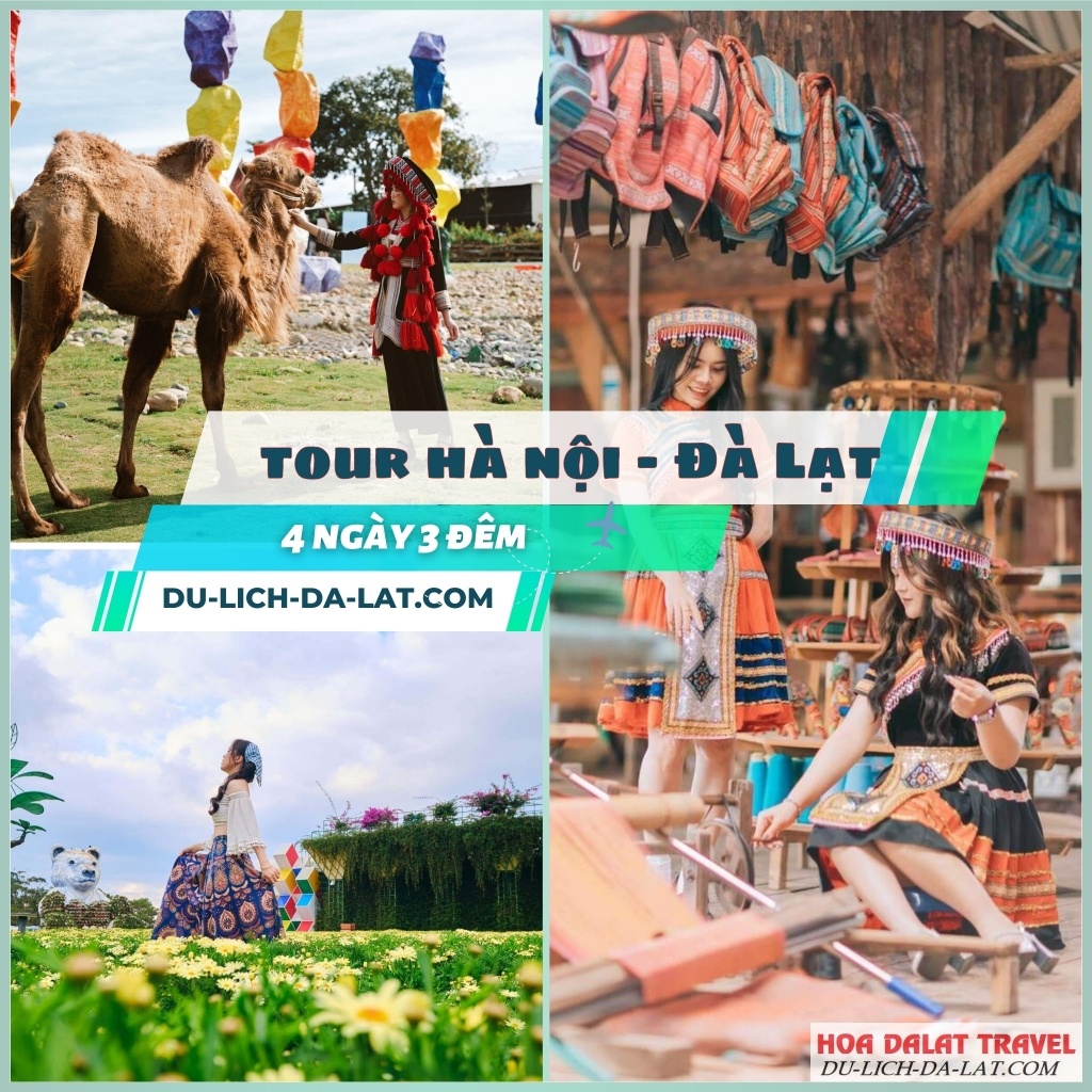 Giá tour Hà Nội Đà Lạt cực hấp dẫn