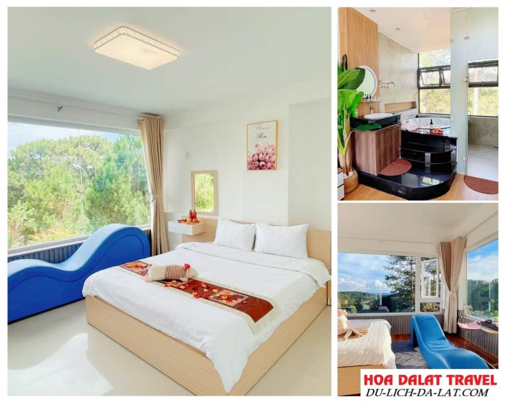 Kymi ấn tượng với thiết kế những căn phòng view đồi thông xanh