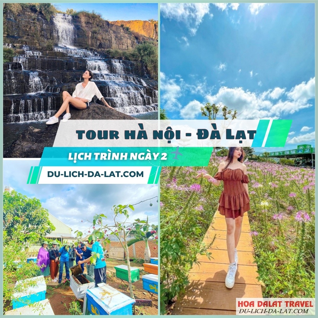 Lịch trình ngày 2 tour Hà Nội Đà Lạt 4N3Đ