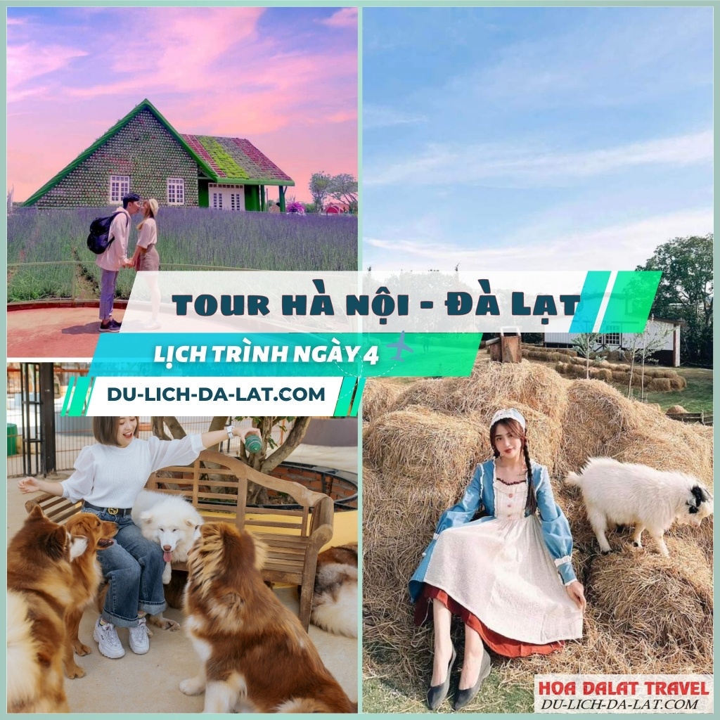 Lịch trình ngày 4 tour Hà Nội Đà Lạt 4N3Đ