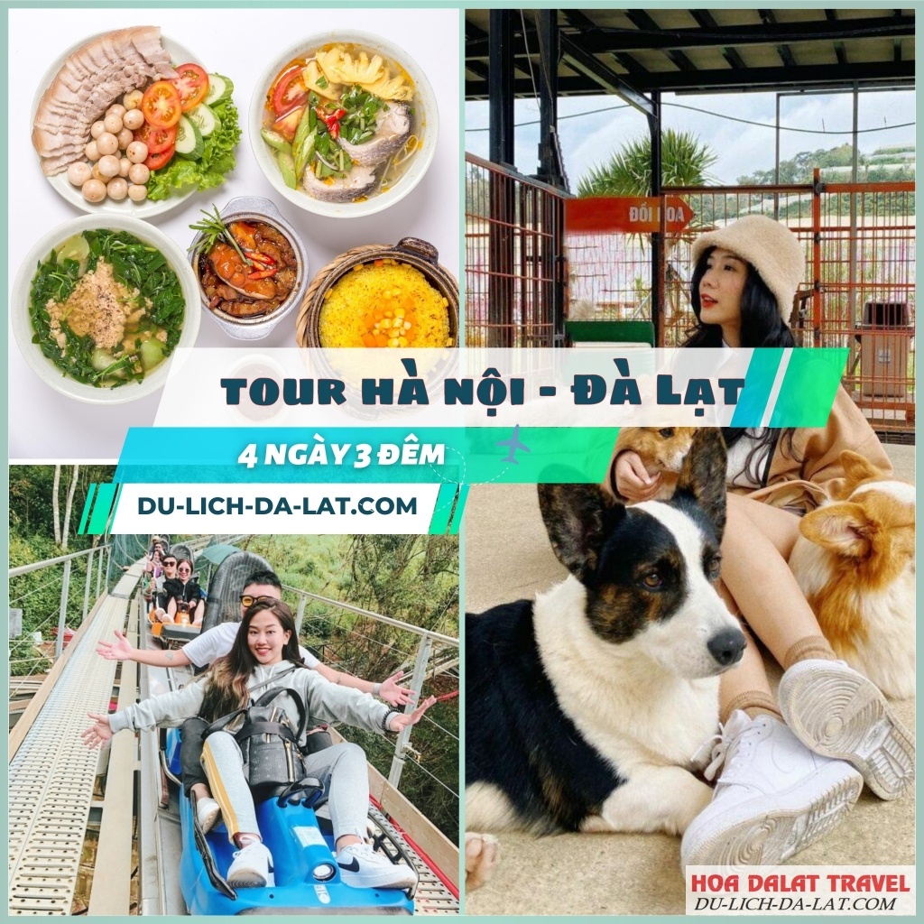 Những lưu ý khi đặt tour Hà Nội Đà Lạt 4N3Đ