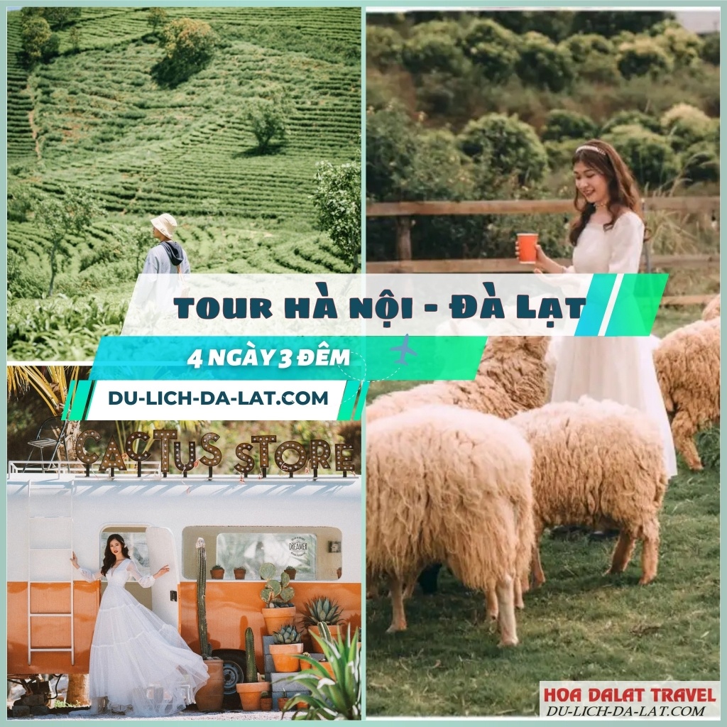 Tour Hà Nội Đà Lạt 4 ngày 3 đêm cực hot