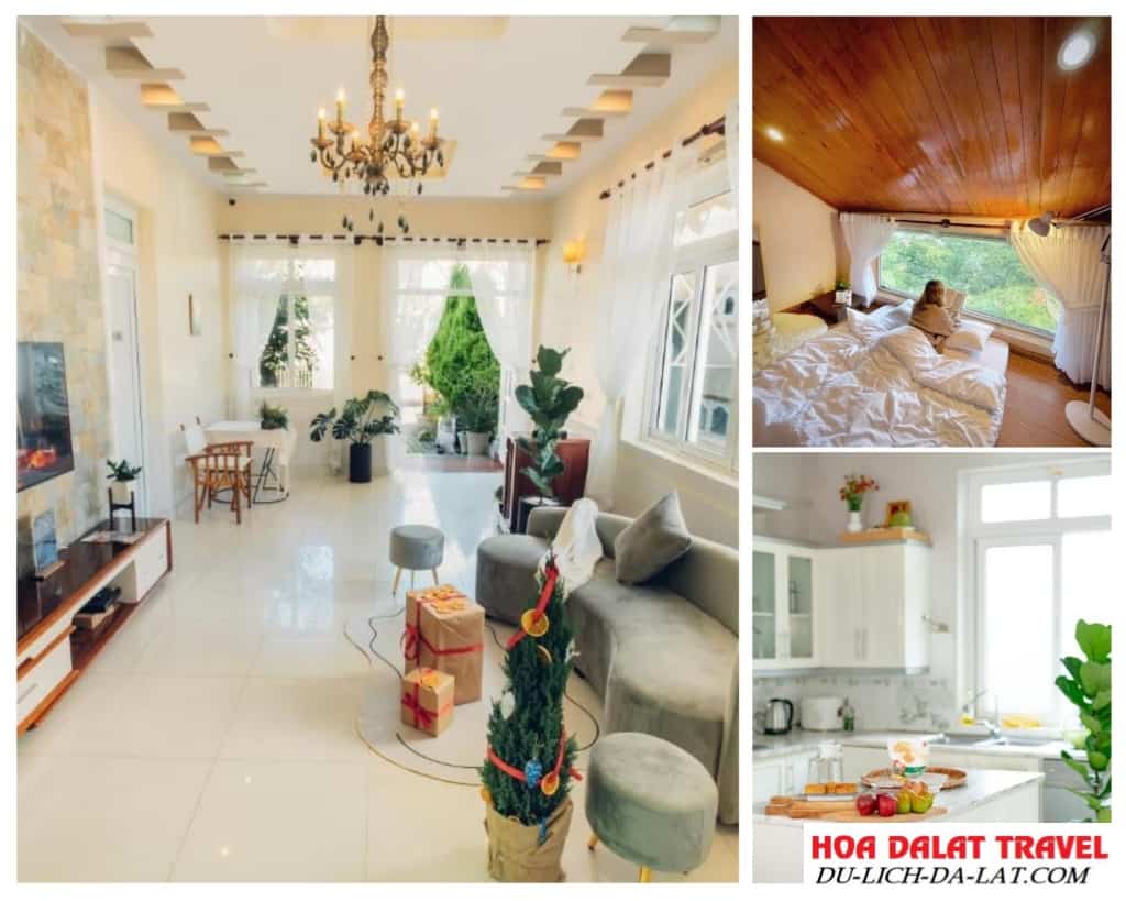 Villa còn có một khuôn viên sân vườn rộng rãi