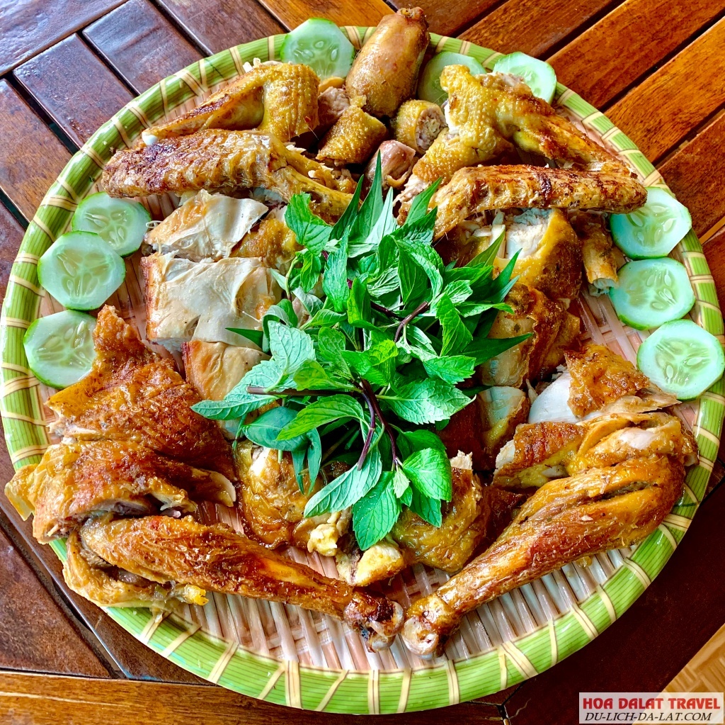 Gà lên mâm rừng thông quán ( bố điều)