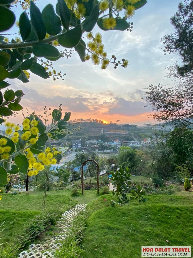 Không gian mộng mơ, ấm áp của quán cà phê - nhà hàng DALAT EDEN