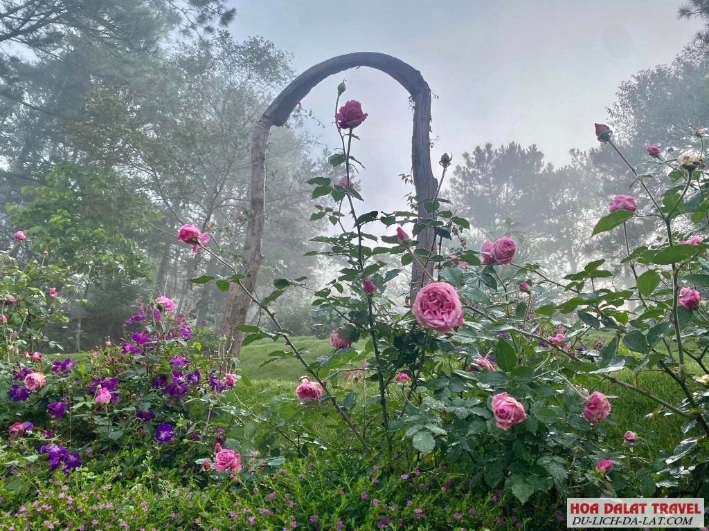 Khu vườn chữa lành, khu vườn mơ ở DALAT EDEN