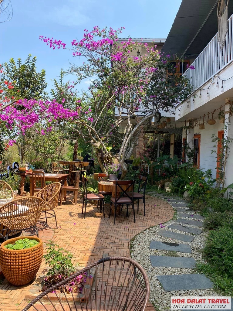 Tận hưởng khoảnh khắc yên bình và khu vườn xanh mát ở DALAT EDEN