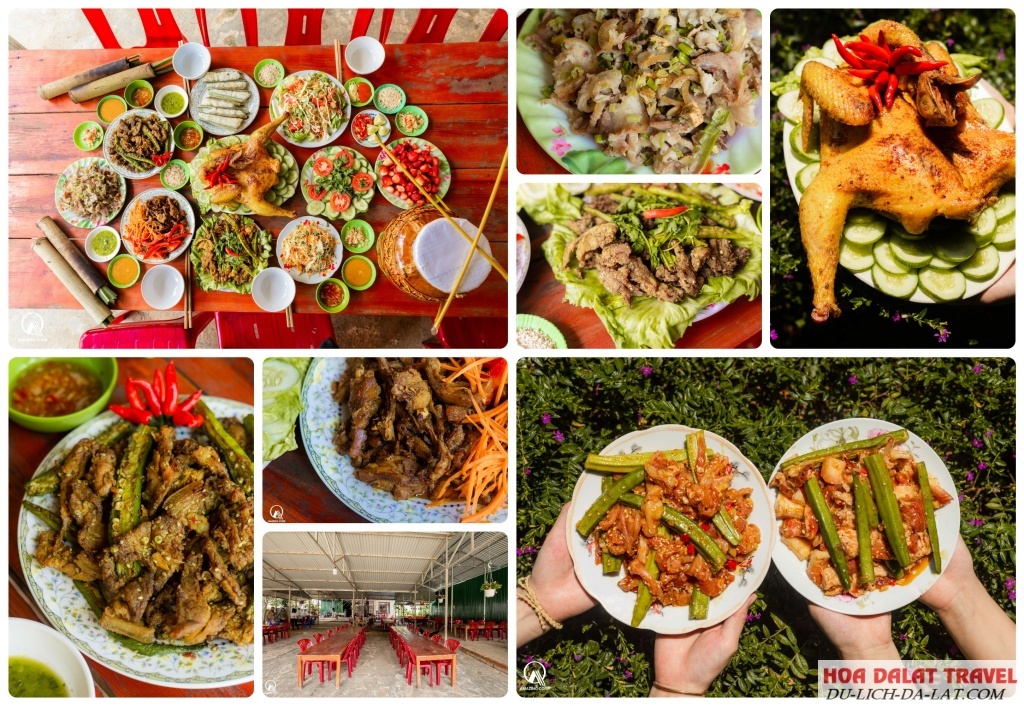 Top Những địa chỉ thịt rừng ngon tại Đà Lạt