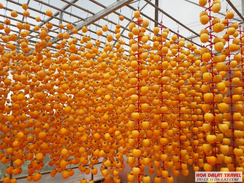 Vườn hồng treo Trạm Hành