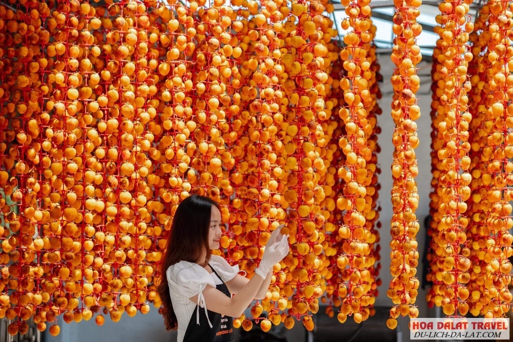 Vườn hồng treo gió đất làng Cầu Đất