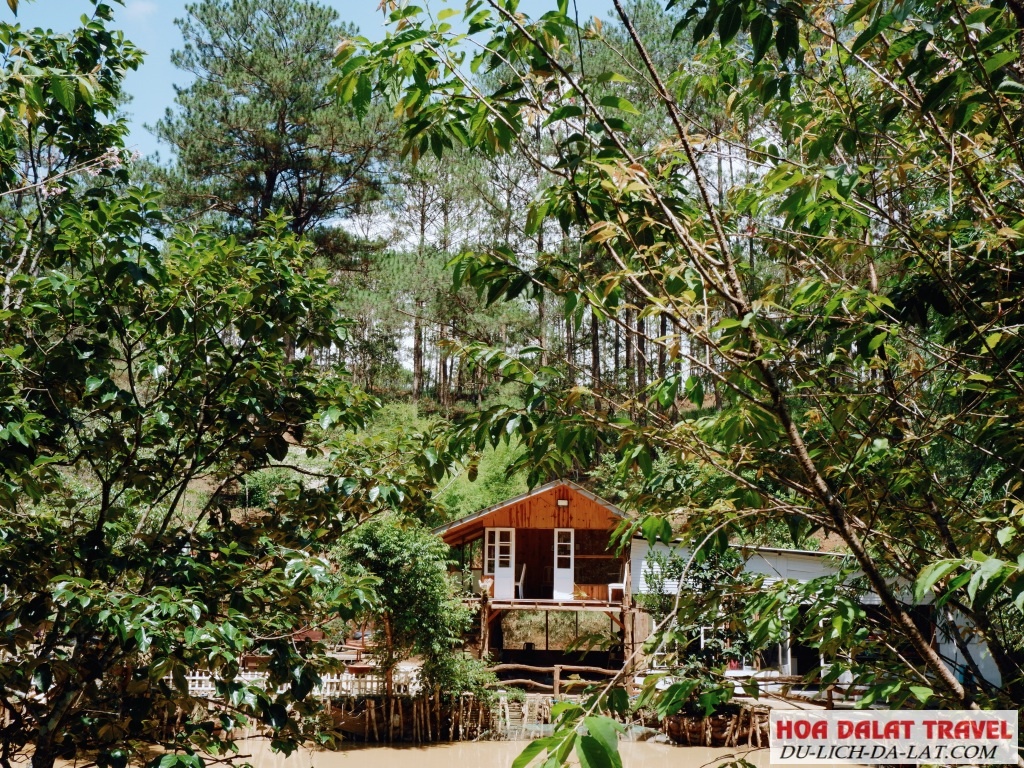 Biết bao trải nghiệm thú vị, đặc sắc tại Thung lũng gió Đà Lạt