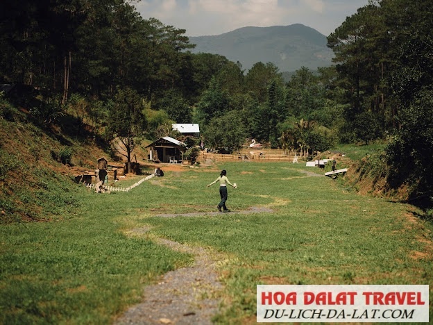 Những bãi cỏ xanh rờn, trải dài khắp không gian quán
