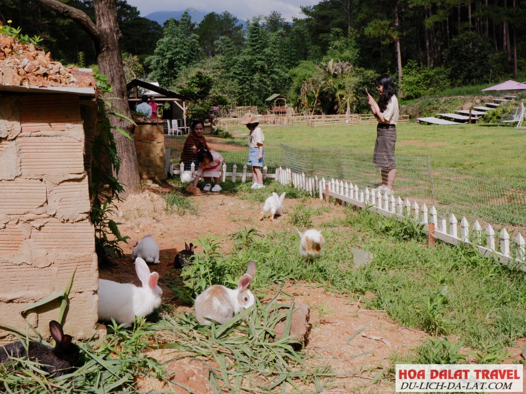 Tham quan và chụp ảnh không giới hạn trang phục và thời gian
