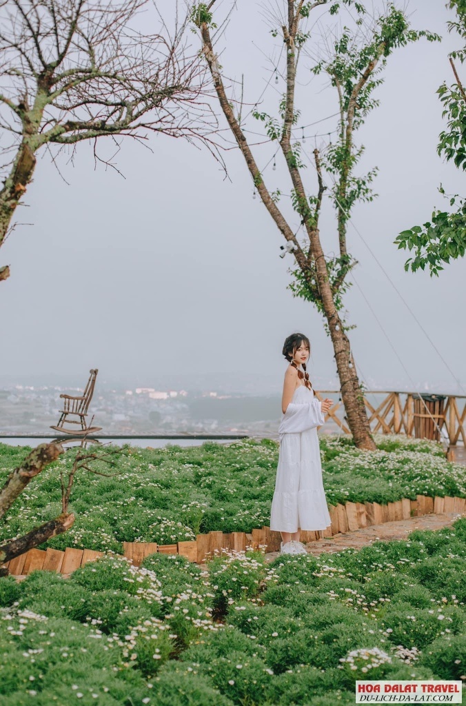 Tham quan vườn hoa đầy màu sắc