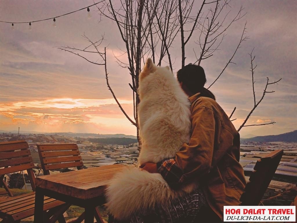 Tiệm Hai Ả