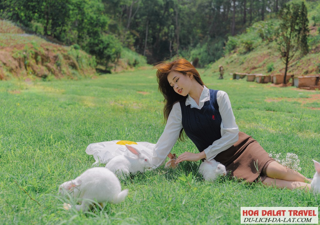 Vallée Du Vent có bầy thỏ con xinh xinh