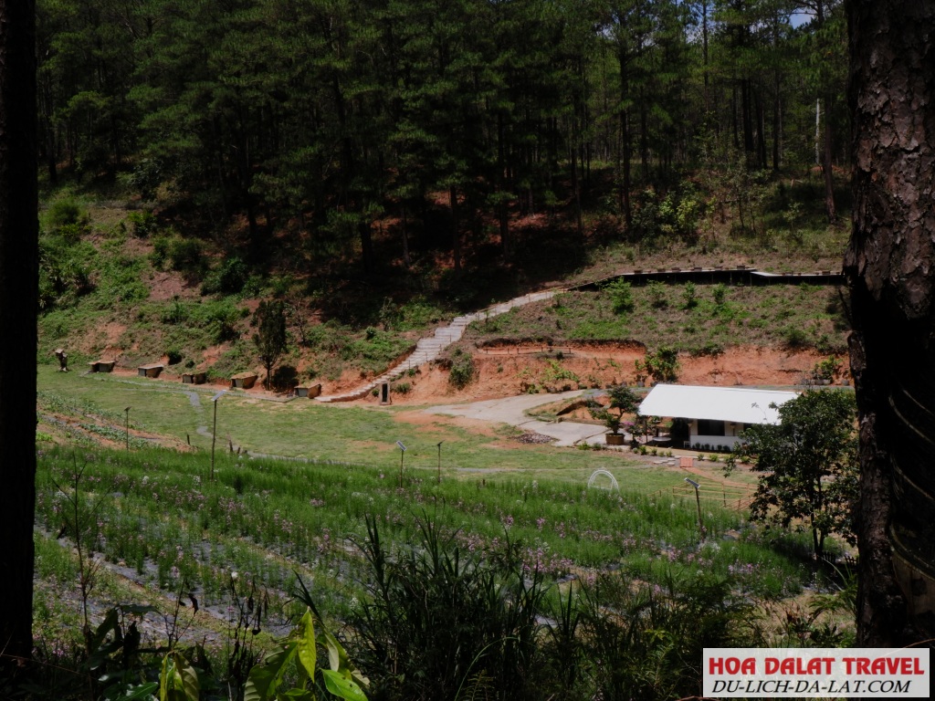 Vallée Du Vent một farm coffee không có gì