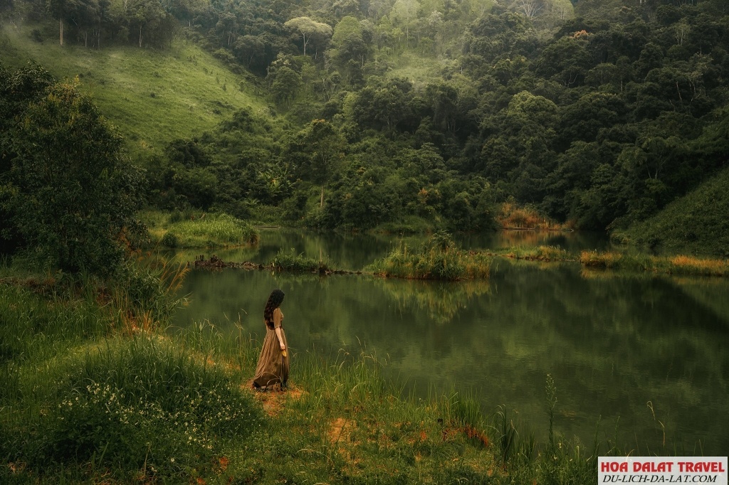 Check in The Florest - Hoa Trong Rừng