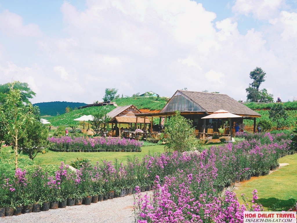The Florest - Hoa Trong Rừng với khung cảnh đẹp