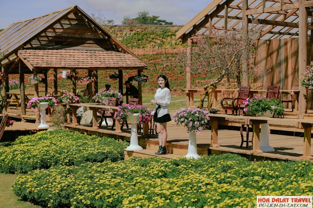 Gỗ được sử dụng để làm bàn, ghế và các tiểu cảnh trang trí