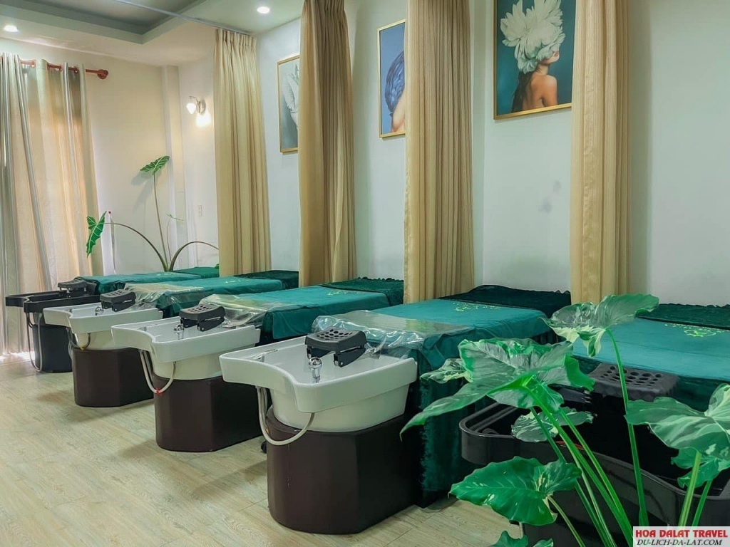 Gội Đầu Dưỡng Sinh A&O SPA Đà Lạt