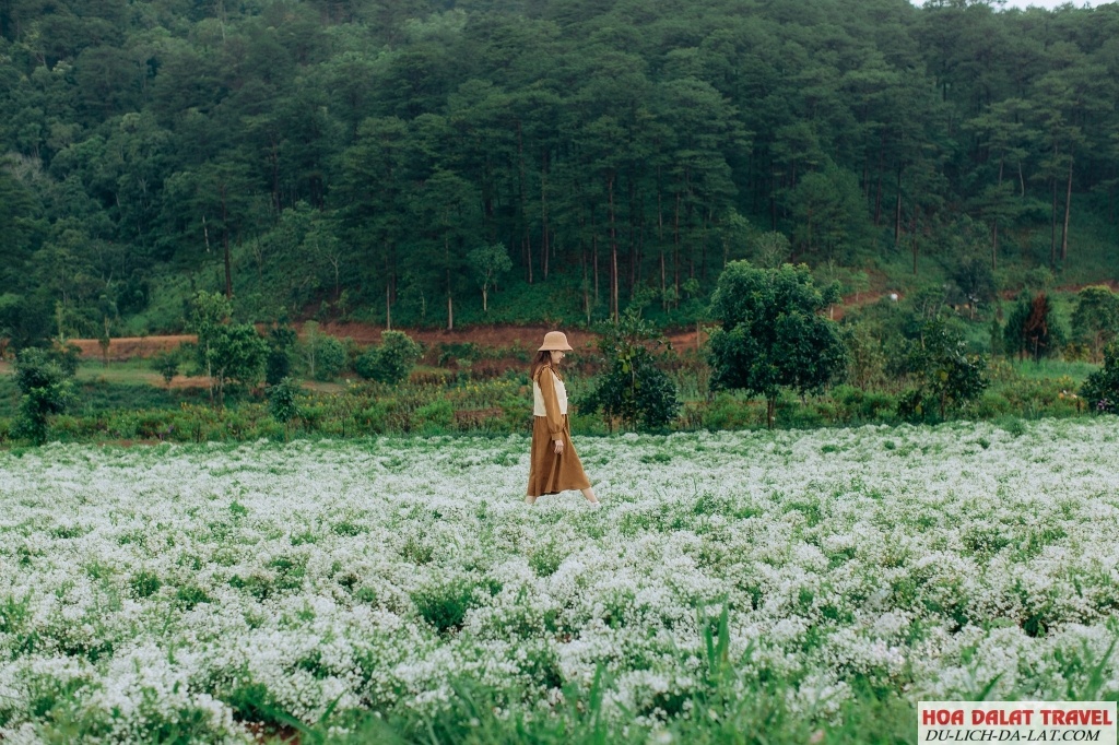 Không gian gần gũi với thiên nhiên