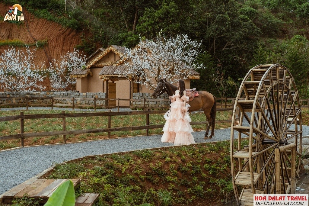 Khung cảnh tuyệt đẹp ở Dapa Hill Đà Lạt