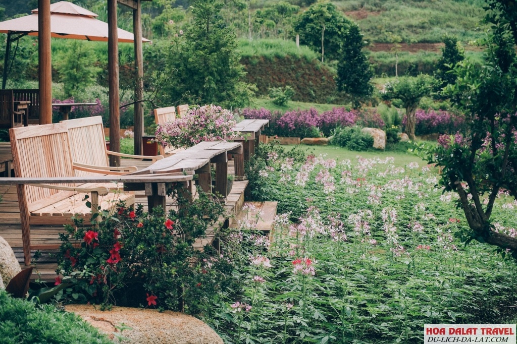 Review The Florest - Hoa Trong Rừng