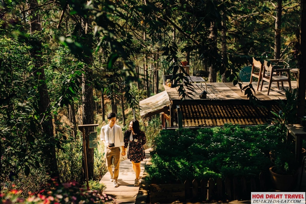 Thông Ơi Coffee
