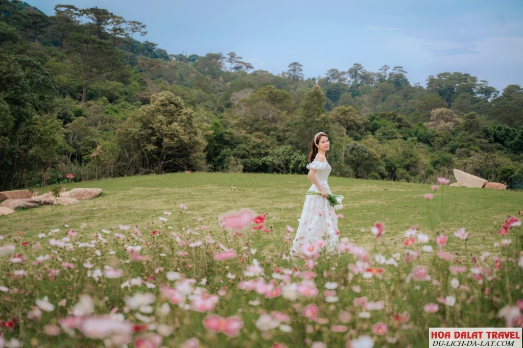 Thông tin The Florest - Hoa Trong Rừng