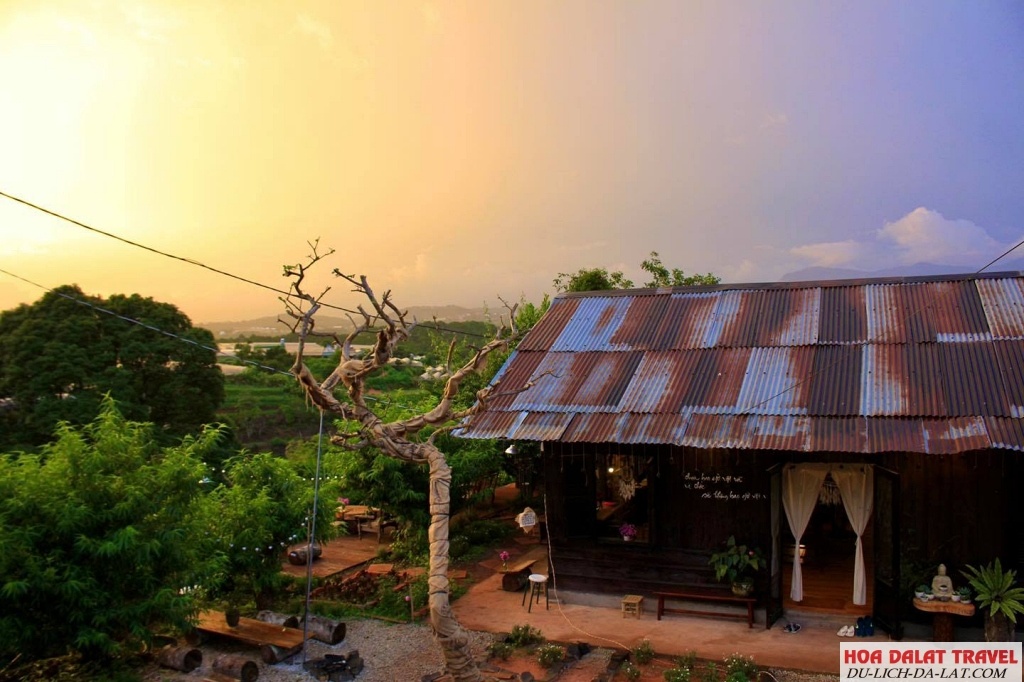 Tiệm Trà Cô An - tiệm trà vintage Đà Lạt nổi tiếng