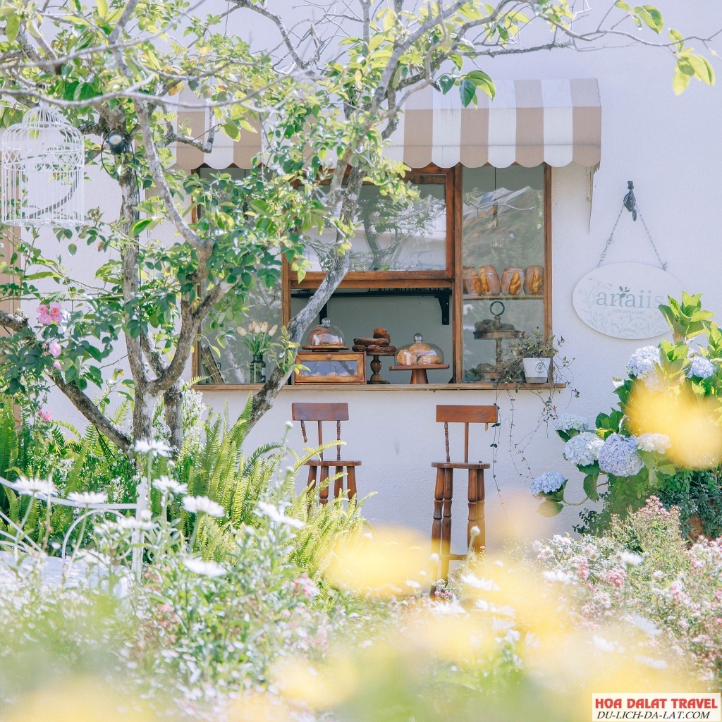 Anaiis Concept & Café