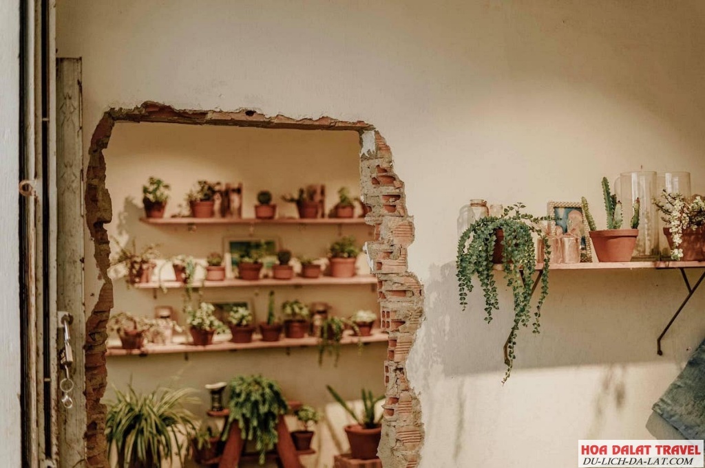Boho Corner Coffee