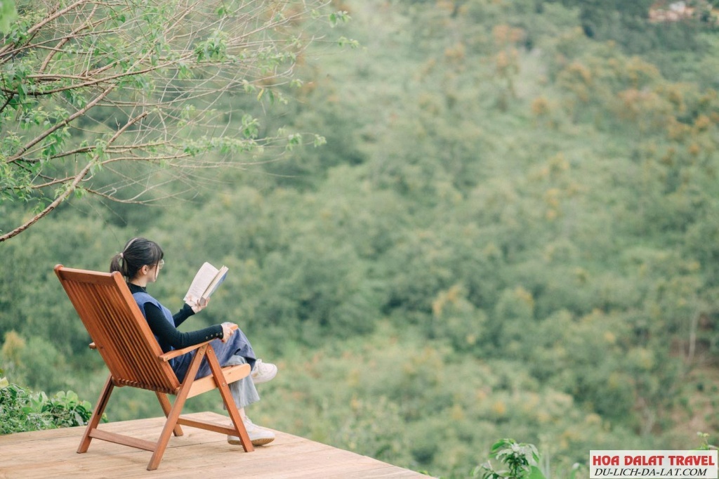 Chill ở In the Forest