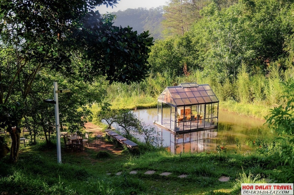 Đợi Một Người - Cà phê độc đáo cho tâm hồn không cô đơn