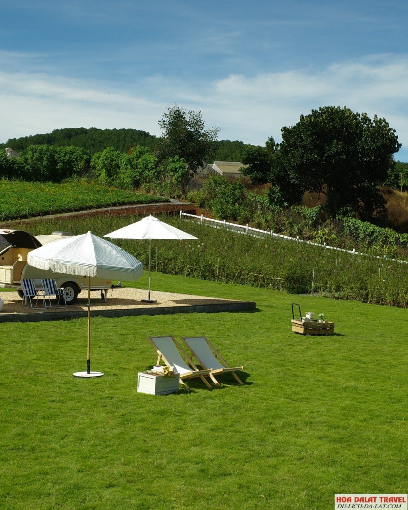 Hoa Mây Garden Đà Lạt