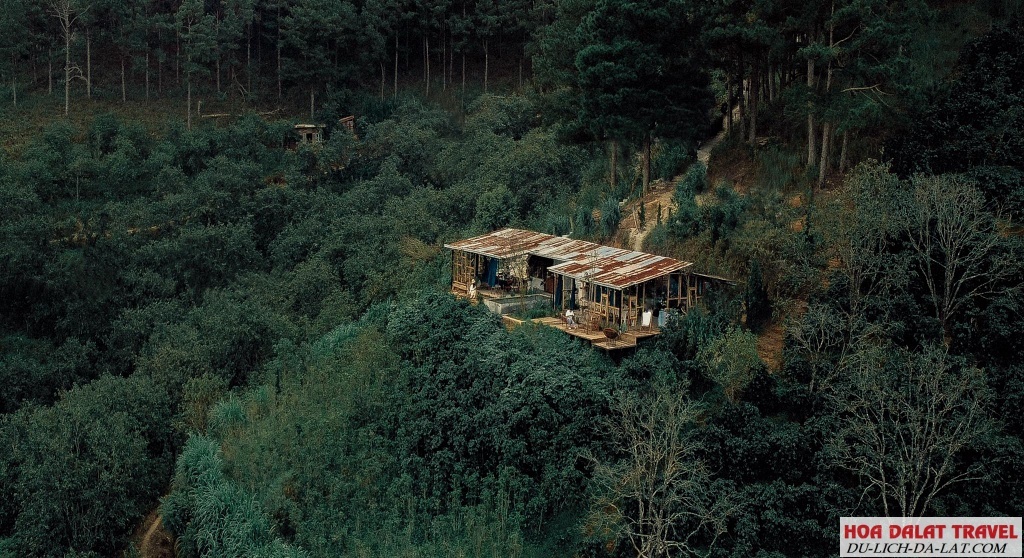 In the Forest - Khám phá không gian thư giãn sau mưa tại Đà Lạt