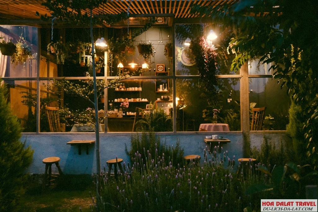 Khu Vườn Mùa Hè - Cà phê làm dịu lòng, chữa lành tâm hồn