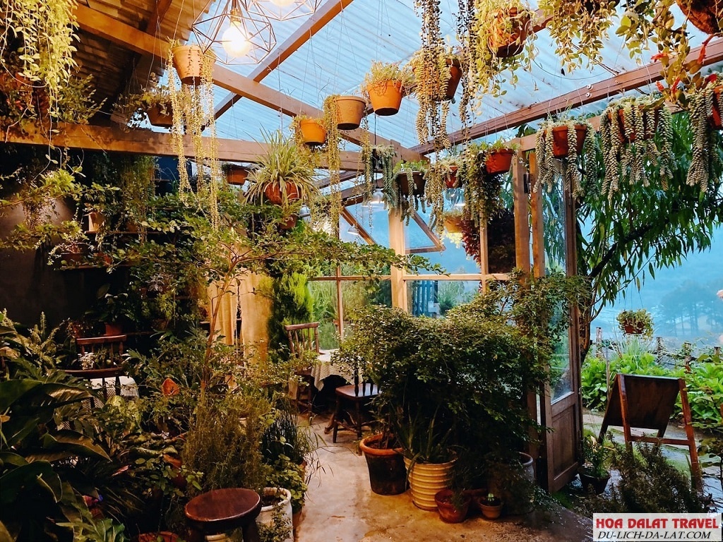 Khu Vườn Mùa Hè Đà Lạt