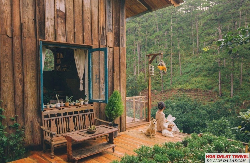 Lưng Chừng - Cafe lãng mạn giữa rừng, ngắm mưa từ trên cao