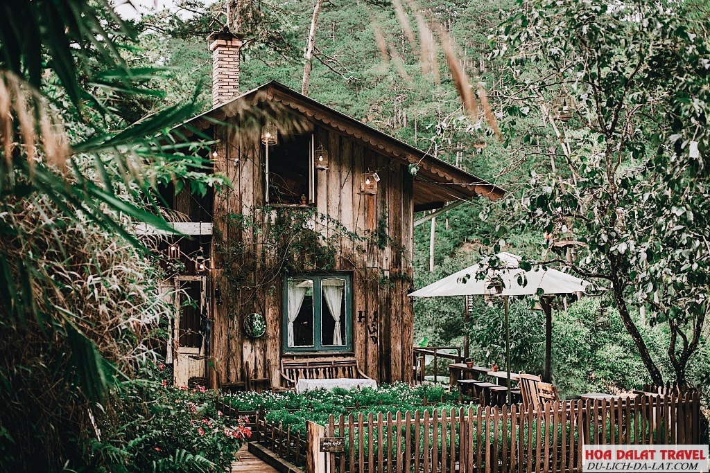 Lưng Chừng Đà Lạt