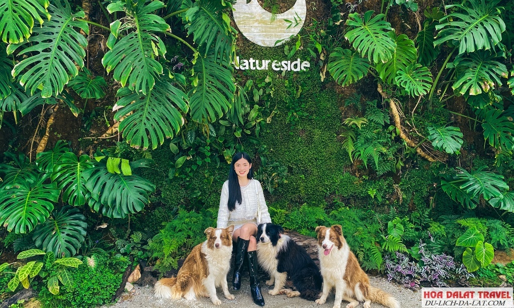 Natureside Coffee - Khoảng không thơ mộng giữa lòng Đà Lạt