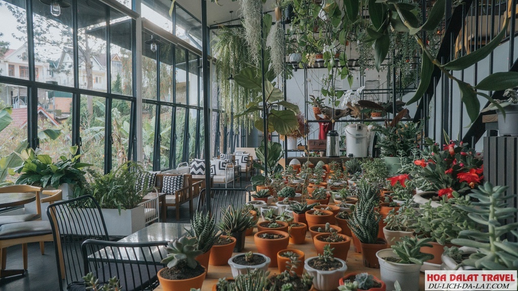 Nhà Lồng Coffee - The Green House