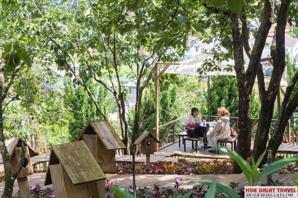 Persimmon cafe view rừng núi