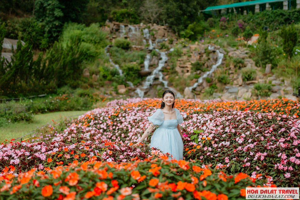 Review Thung Lũng Hồng Đà Lạt
