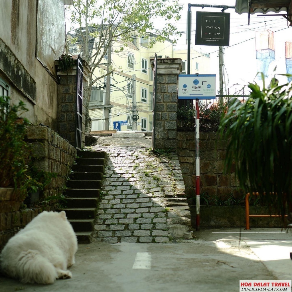 The Station View Coffee Đà Lạt