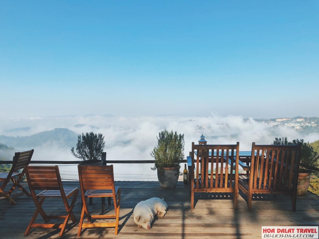 Top các quán cafe Đà Lạt có thức uống ngon, view đẹp cực chill du khách không nên bỏ lỡ