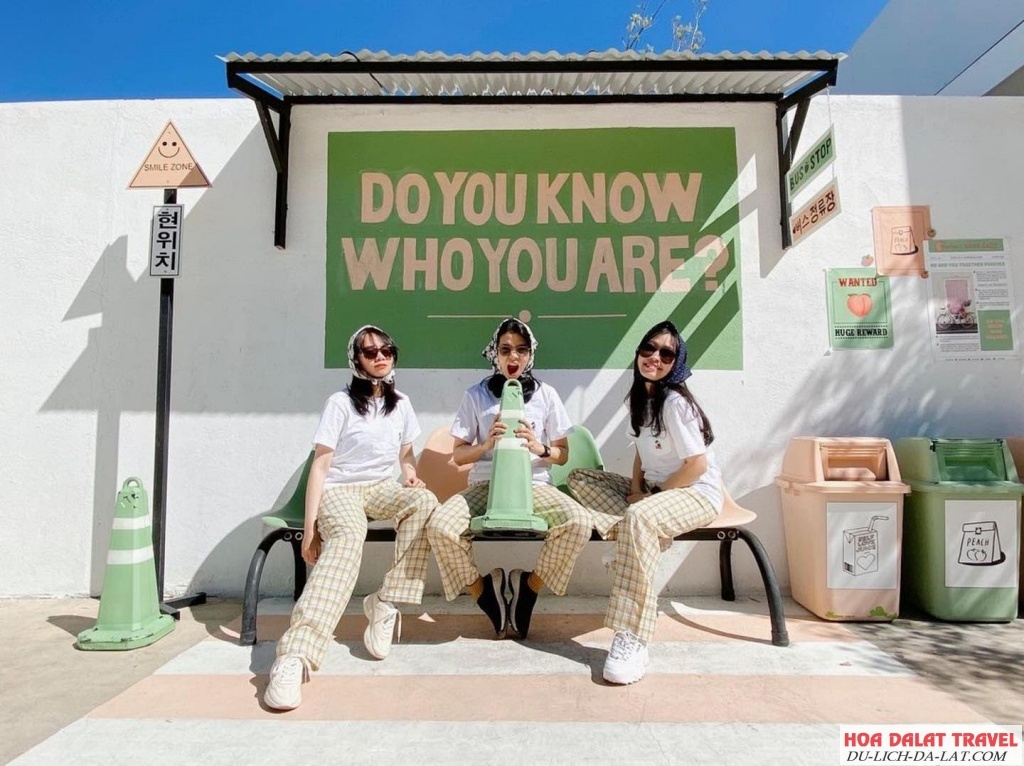 cafe Đà Lạt phong cách Hàn quốc