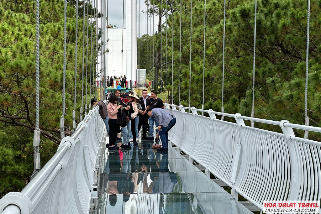 Cầu kính Ngàn Thông ở Đà Lạt
