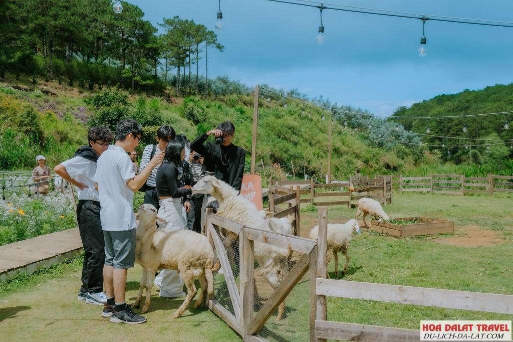 Điểm đến lý tưởng cho gia đình, bạn bè, các cặp đôi yêu nhau